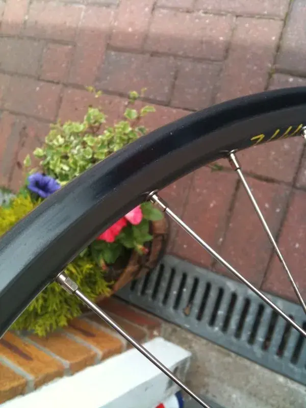 rim2.webp