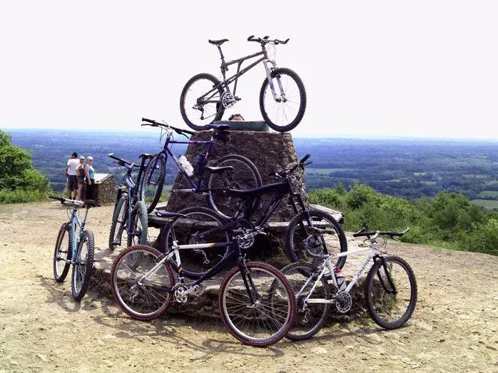king of the hill.webp