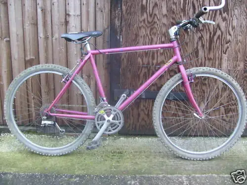 Apex Bike as Bought.webp