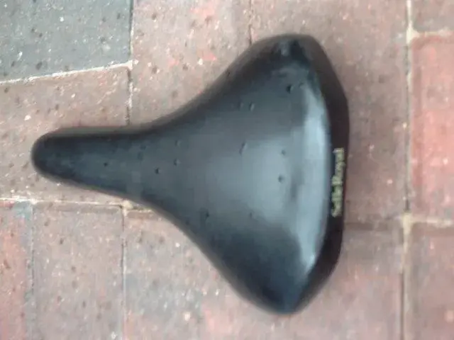 Saddle 008.webp