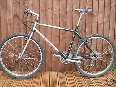1993 Cinder Cone size 19.webp