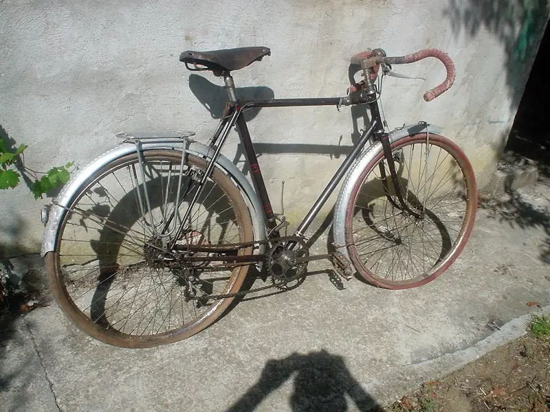 DSC00016 (2).webp