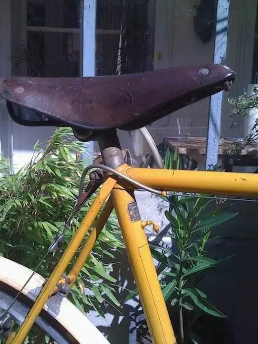 Selle Frein.JPG