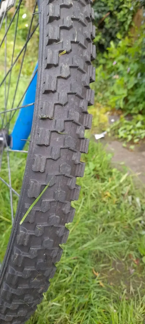 Screenshot_20230514_180652_Gallery.webp