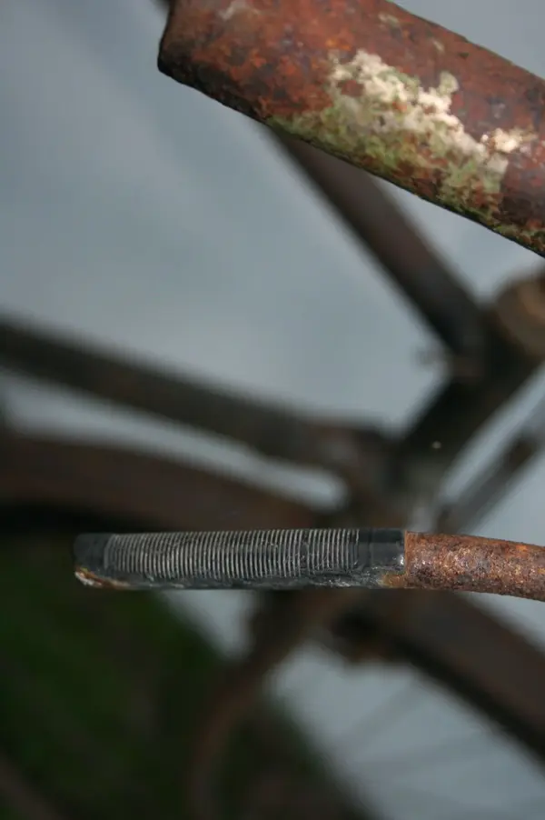 unknown4.webp
