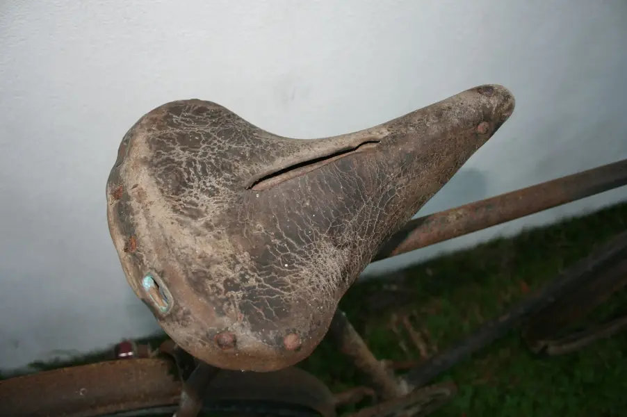 unknown6.webp