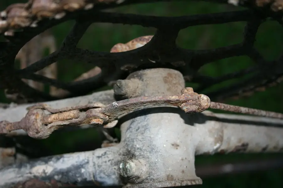 unknown7.webp