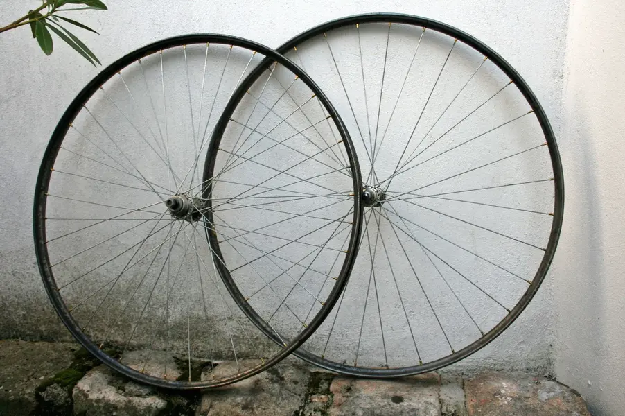 unknown23.webp