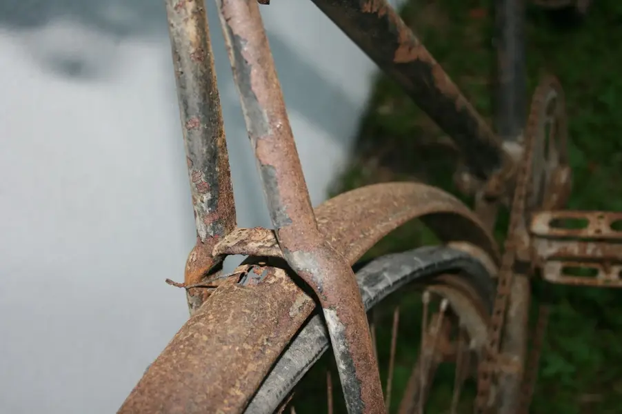 unknown31.webp