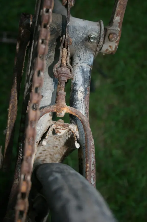 unknown36.webp