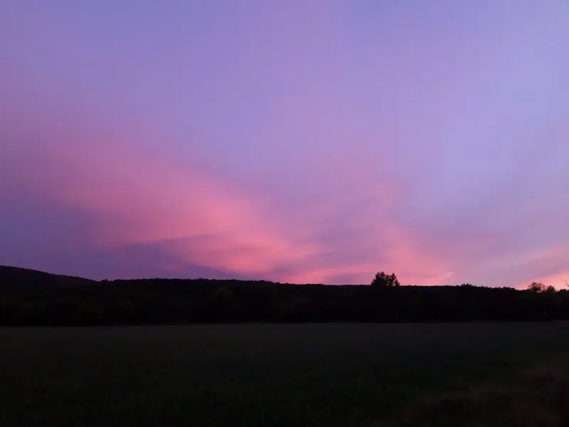 20230515_202238.webp