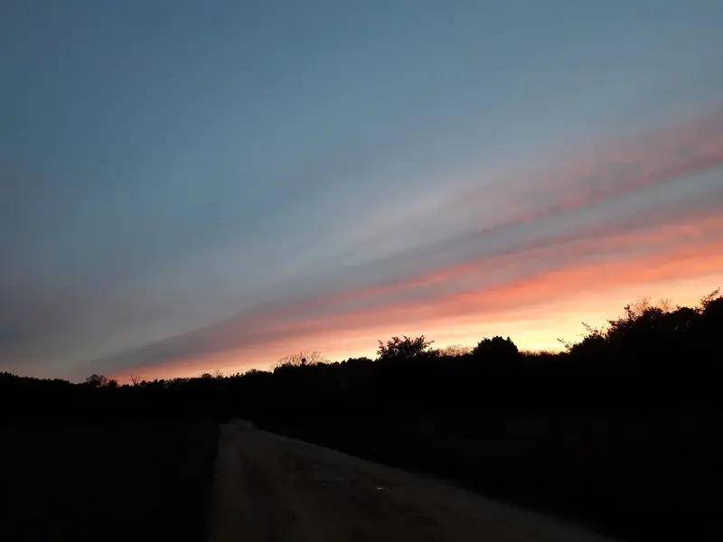 20230515_202803.webp