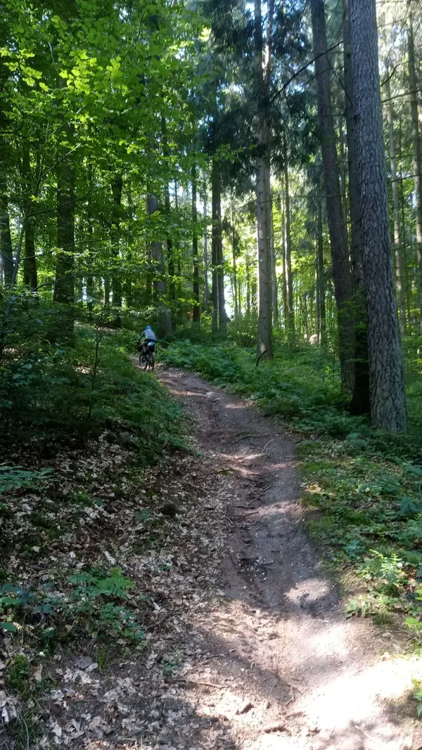 IMG_20210718_105926.webp