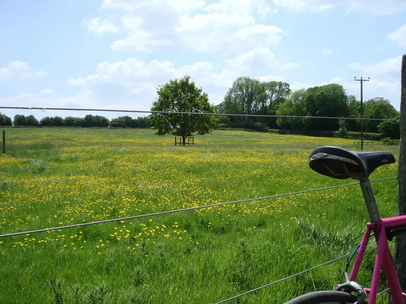 DSC00542.webp