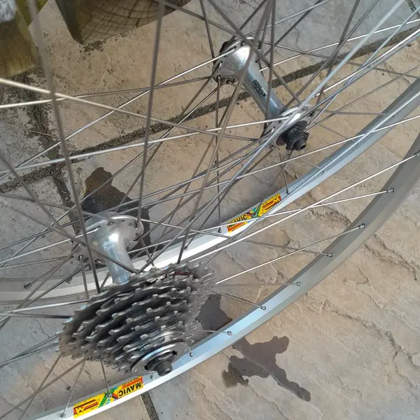 20230527_201412.webp