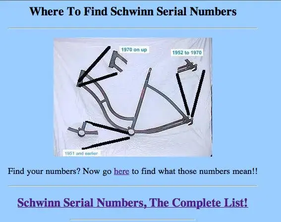 33wqwyqpng-1.webp