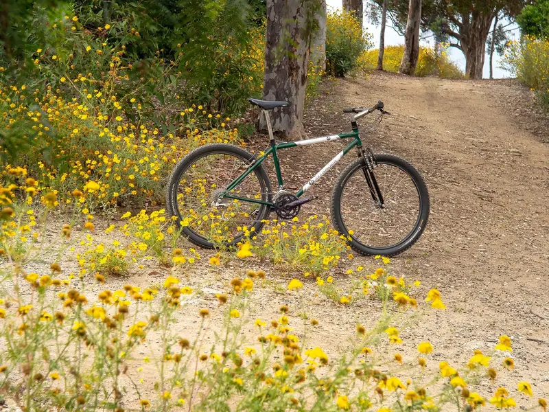 br0qn003-race_lite-first_ride-14.webp