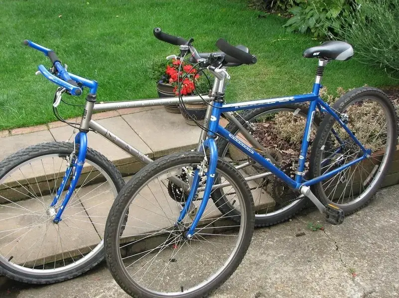 bikes1.webp