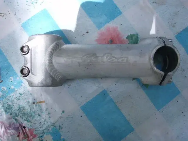 Salsa stem.webp