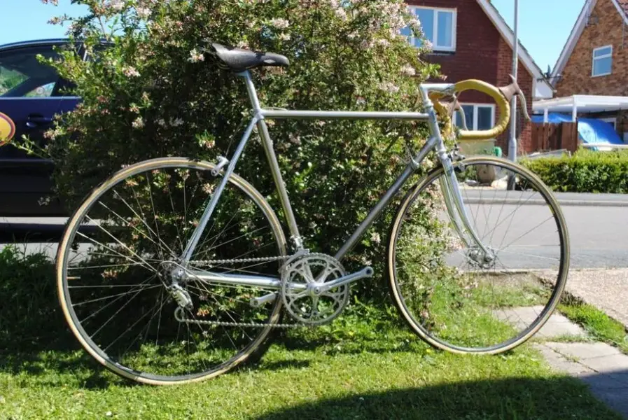 vitus in a bush.webp