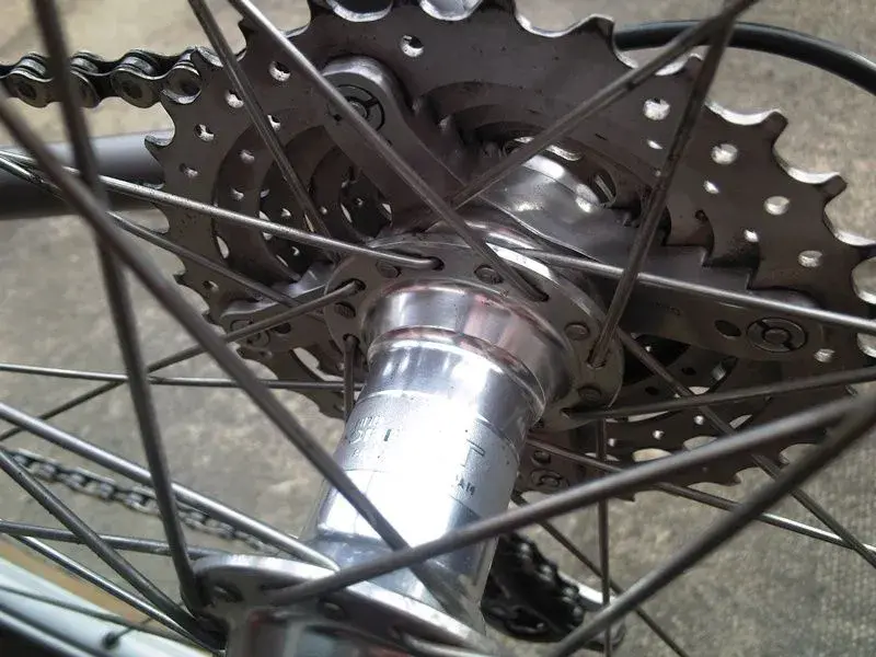Photo-0099.webp