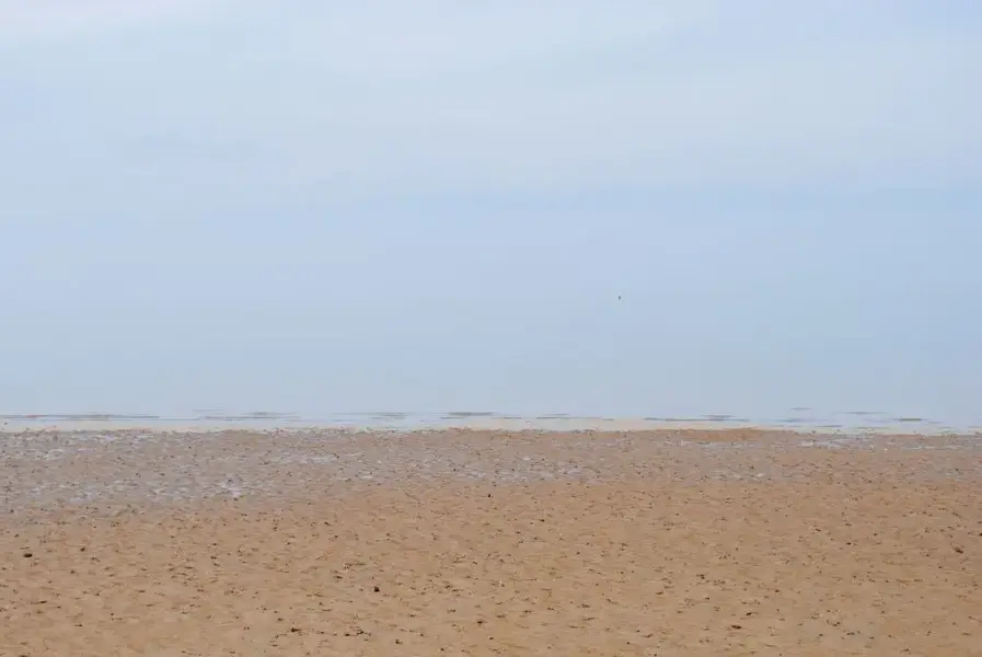 no horizon.webp