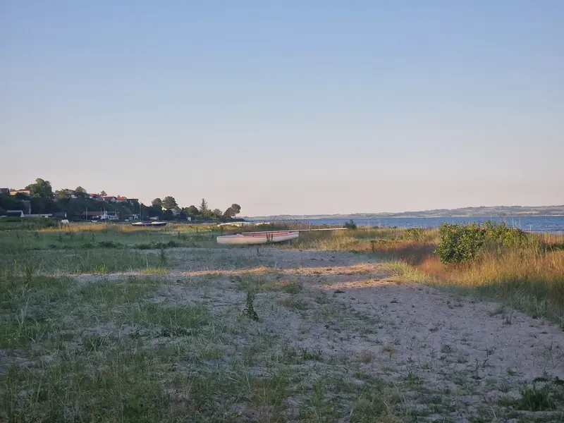 20230612_204553.webp