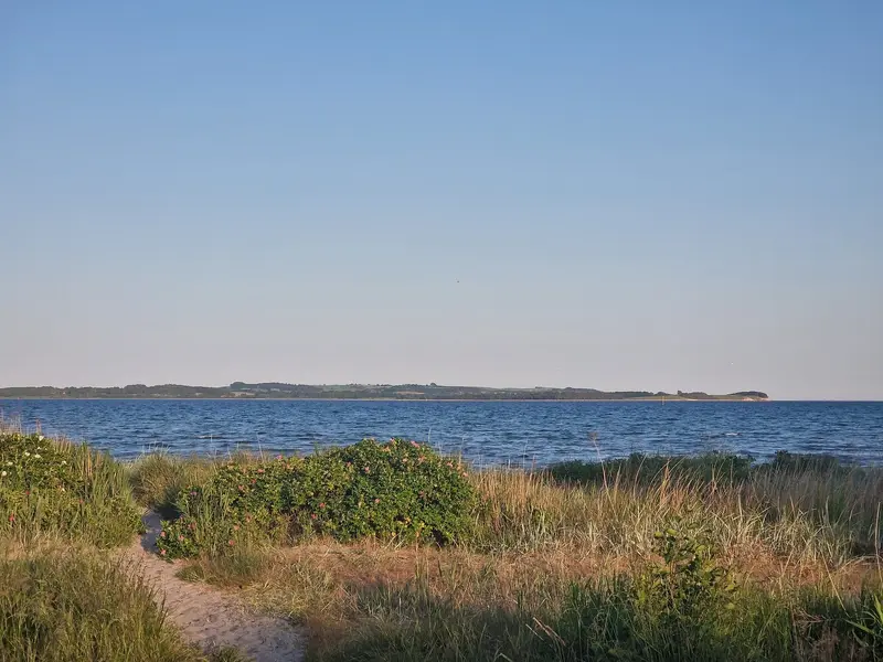 20230612_204547.webp