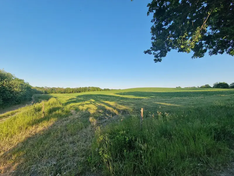 20230612_202957.webp
