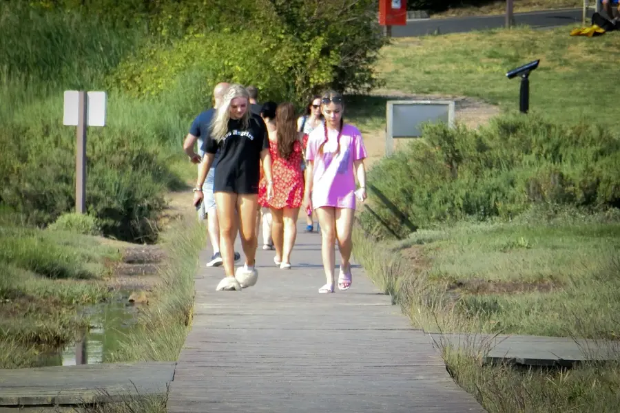 CIMG0664.webp