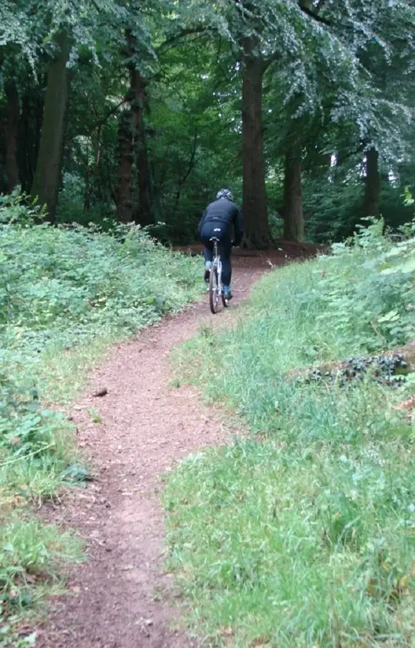 bikes%204949.webp
