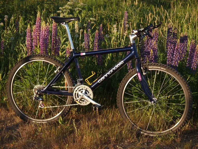 aP1012240.webp