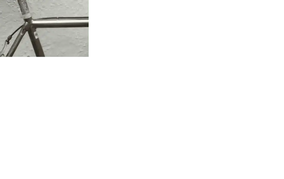 1687352212993.webp