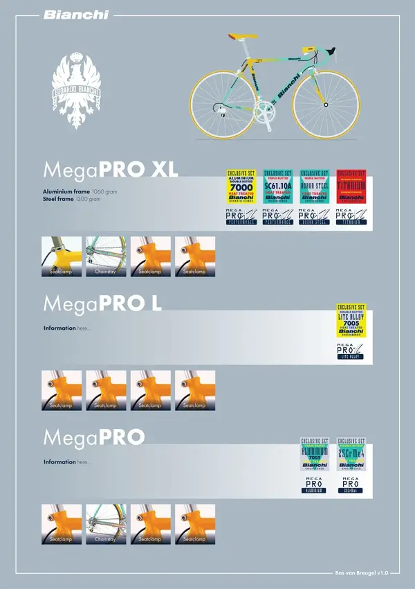Bianchi_MegaPro_Infographic_A4.webp