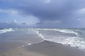 Grenen_Ole_Malling.jpg
