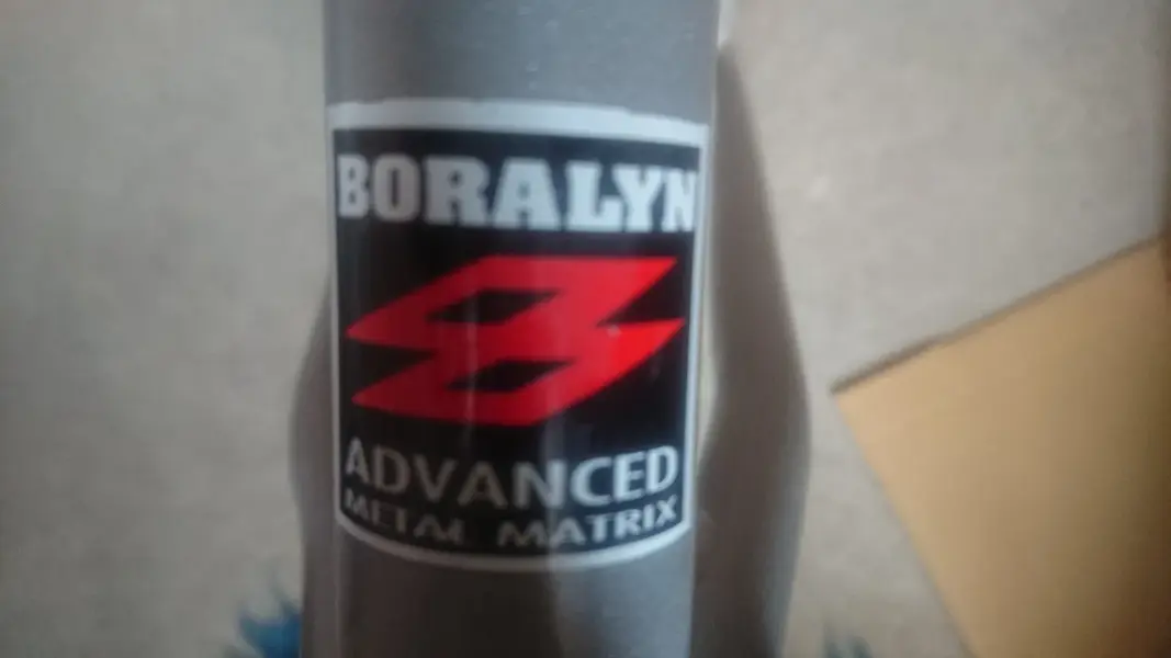 Boralyn AMM.webp