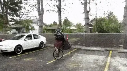 LargeDamagedEmu-size_restricted.webp