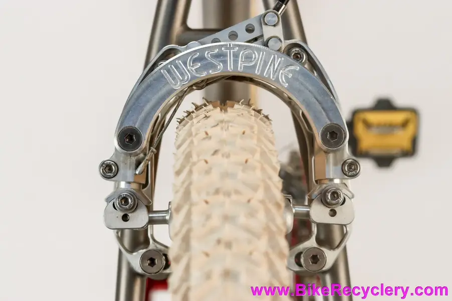 ibis_mojo_titanium_1990s_sebastopol_caramba_double_barrel_paul_handjob_paul_fire_balls_retrog...webp