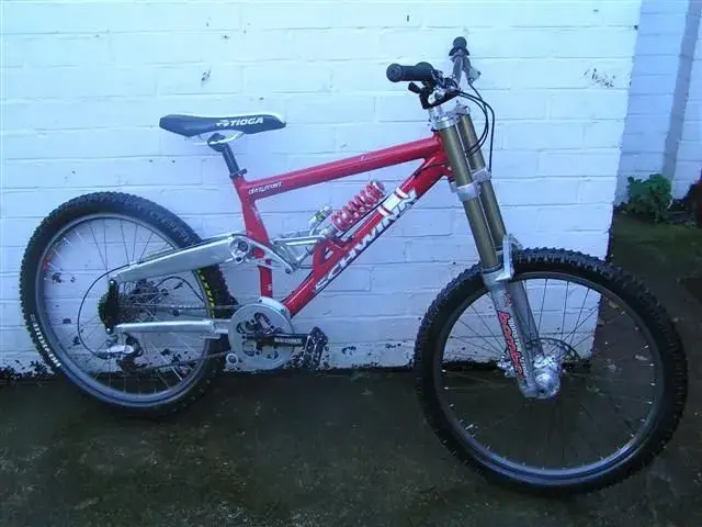 schwinn side.webp