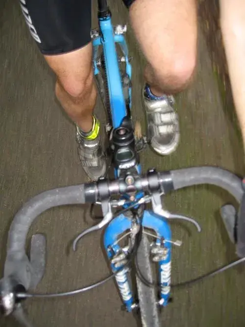 legs.webp
