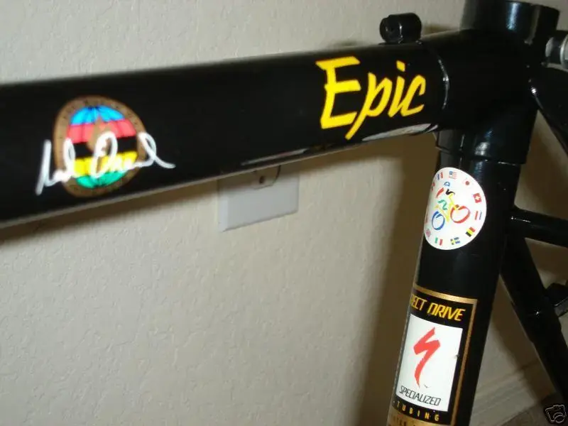 stumpy_epic_91_4 (Medium).webp