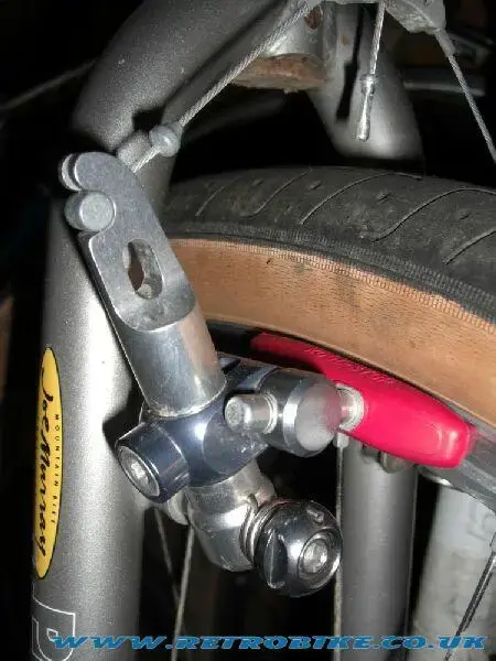 SRP canti 4.webp