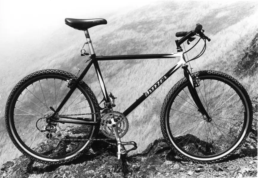 90 Breezer proto SKY5m.webp