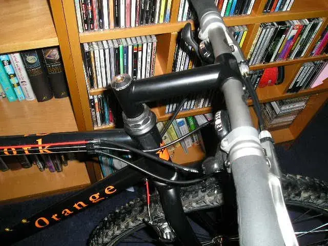 Orange satin stem.webp