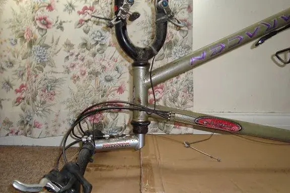 saracen2.webp