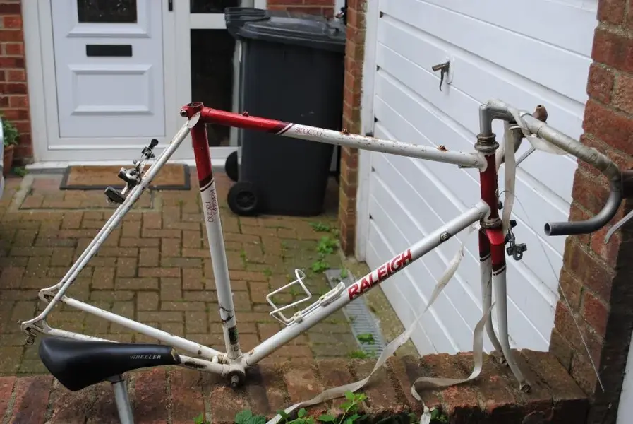 freebie Raleigh.webp