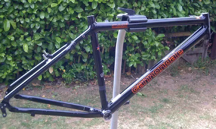dale frame.webp