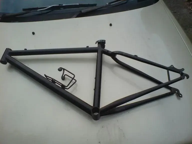 New Frame (5).webp