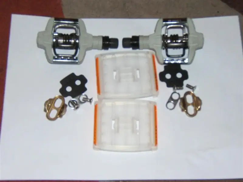 Dynas pics 031 (Large).webp
