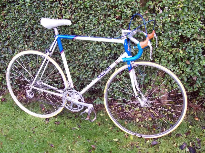 raleigh_road_ace_against_hedge.webp